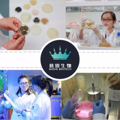 中企动力联合慕恩生物 点亮生物科技转型的标杆之路