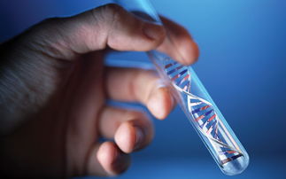 中国的生物科技大赌局开始获得回报