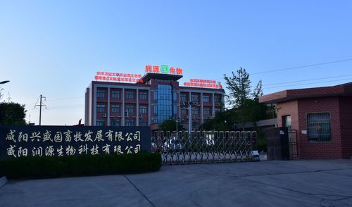 咸阳润源生物科技 以创新驱动，深耕生物科技领域